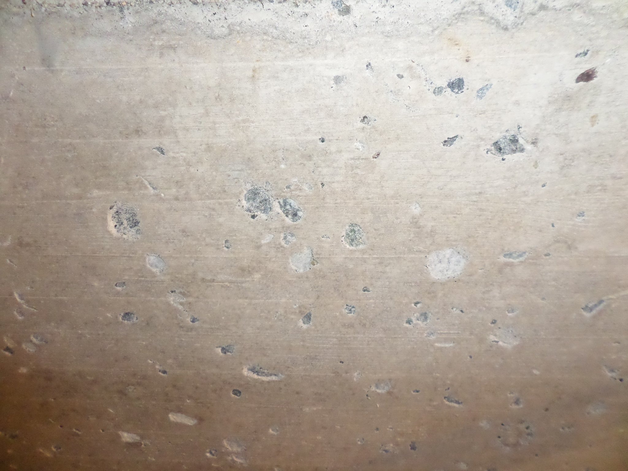 Technical assistance and expertise